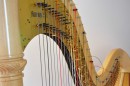 Bild von Instrumenten, hier eine Harfe. Einsatzzweck ist Werbung für die Musikschule Mülheim an der Ruhr. - Musikschule