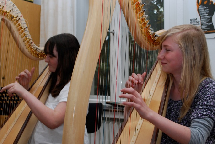 In der Musikschule Mülheim an der Ruhr wird Unterricht für das Instrument Harfe angeboten. - Bernhard Fuchs