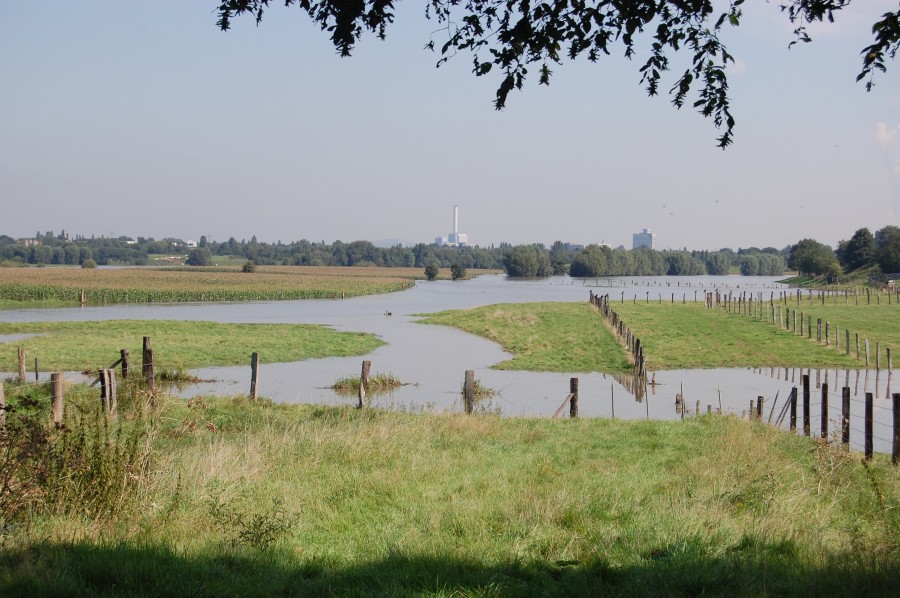 Das Bild zeigt die Styrumer Ruhraue während des Hochwassers im August 2007. Im Bereich von Aueböden schwanken die Grundwasserstände. Es kommt zu regelmäßigen Überflutungen.