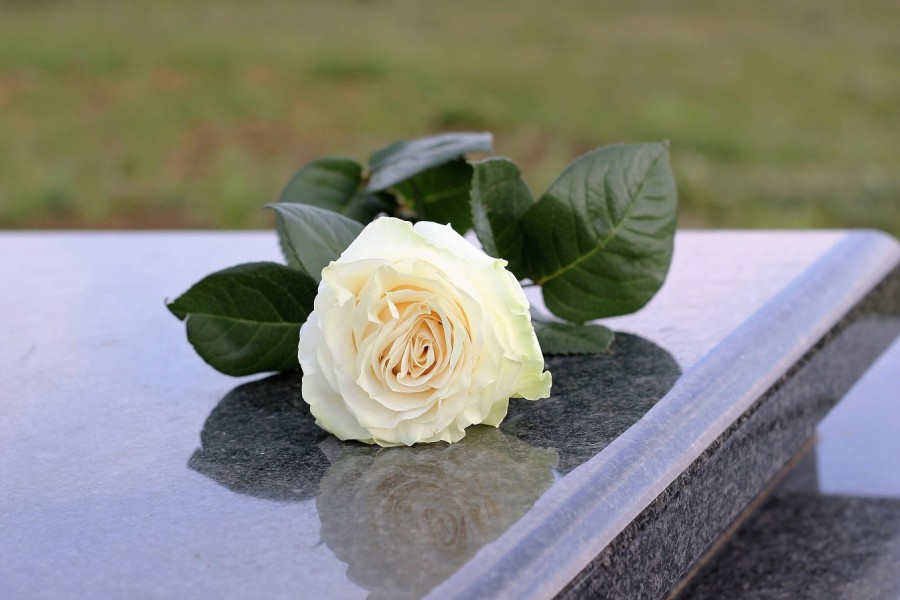 Weiße Rose auf einem Grabstein. Friedhöfe als Orte der Trauer und Erinnerung. - Pixabay