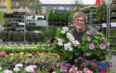 Blumen dürfen am Pfingstmontag verkauft werden. Quelle/Autor: MST GmbH / Nicole Trucksess Blumen dürfen am Pfingstmontag verkauft werden.