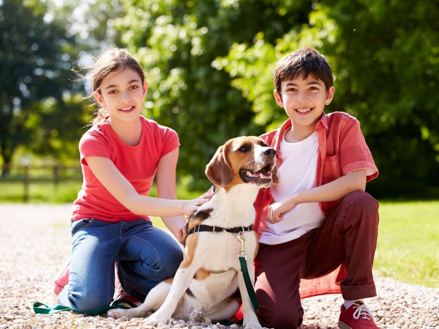 Auf dem Foto sind zwei Kinder abgebildet die in der Mitte einen Hund streicheln. - Online Redaktion - Referat I - Canva - Monkey Business Images