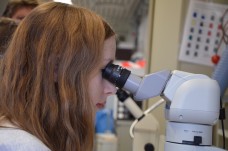 Mädchen schaut in ein Mikroskop. Berufs- und Studienorientierung zu innovativen Berufen in der Energiewende am im RWE Labor des Berufskollegs Stadtmitte