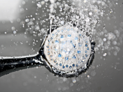 Duschkopf Dusche Wasser Legionellen Themenbild