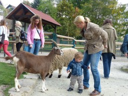 Tierpatentag 2014 im Tiergehege Witthausbusch: Besucherinnen inmitten der Tiere