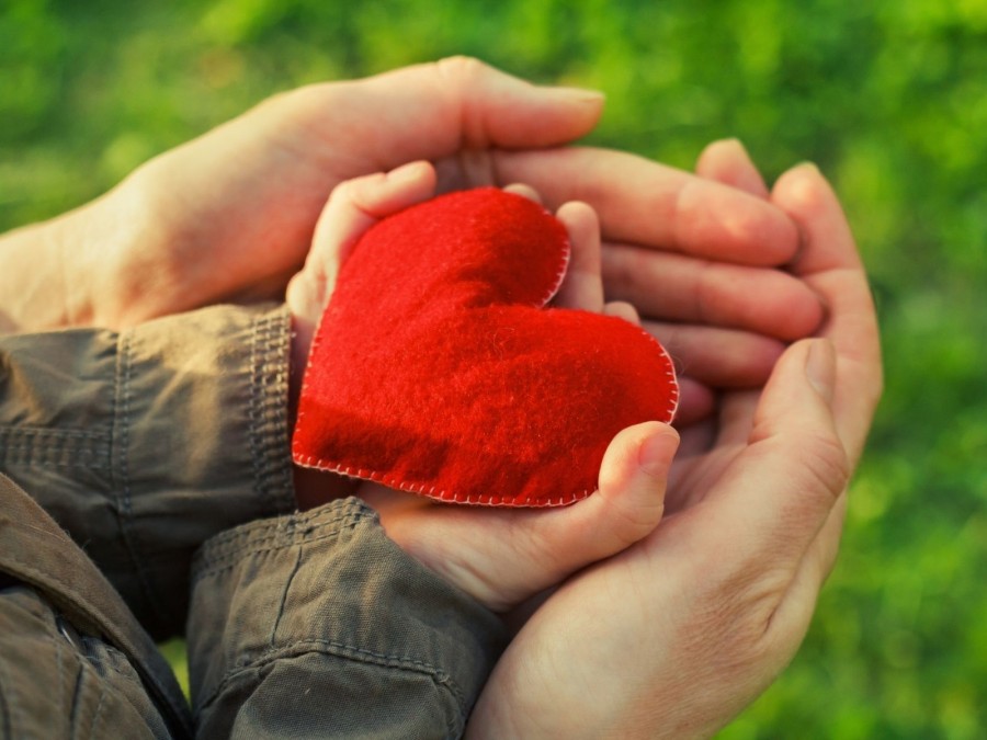 Erwachsenenhände und Kinderhände, die ein rotes Herz halten als Symbol für Kinderschutz. Tagespflegenest, Kita, Kindergarten, Kinderbetreuung, Pflegevater, Pflegemutter, Kindertagespflege - Canva