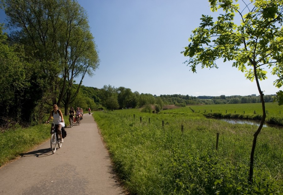 Entspanntes Radfahren mitten in der Natur - auf dem Ruhrtal Radweg.