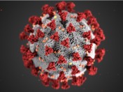 Corona-Virus, Pandemie, Gesundheit: Foto vom Coronavirus auf schwarzem Hintergrund - Quelle/Autor: Canva