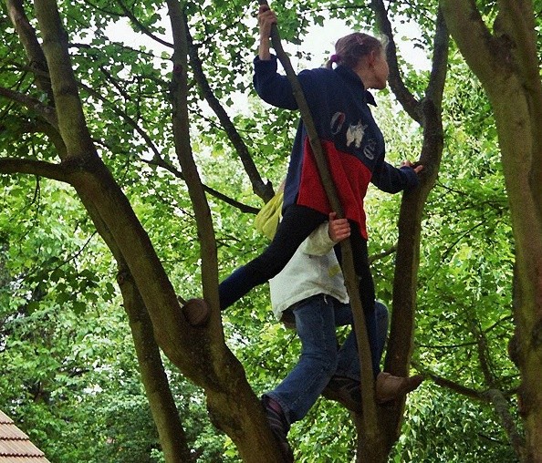 Kinder beim Spielen und Klettern im Baum - Elfriede Majer