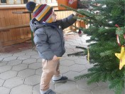 Archepark wieder weihnachtlich geschmückt: Kinder haben fleißig gebastelt, um den Weihnachtsbaum im Tiergehege schmücken zu können.