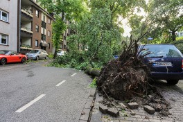 Sturm. Unwetter, Sturmschäden, Bäume. Untere Buggenbeck, Haus-Nr. 19 10.06.2014 Foto: Walter Schernstein