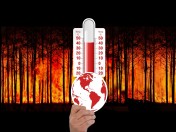 Hitzewelle, Feuerwehr, Waldbrandgefahr, Klimawandel, Sommertemperaturen, Vorsicht