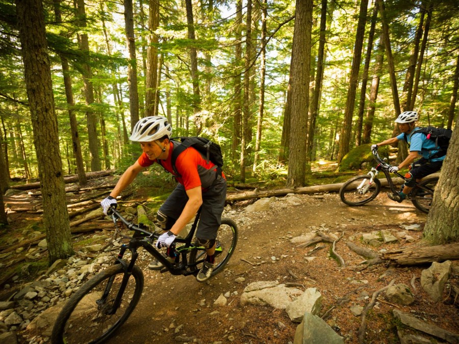 Zwei Mountainbiker:innen fahren auf ihren Bikes durch einen Wald. - Canva