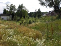 Naturnaher Umbau des Alpenbachs in Mülheim-Mintard - Bereich August-Thyssen-Straße