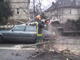 Auf der Von-Bock-Straße stürzte ein Baum auf einen abgestellten PKW.   