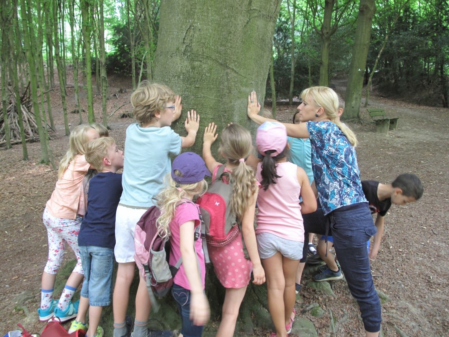 Naturerlebniswoche in Eppinghofen: Unter anderem stand das Thema Stadtbäume auf dem Programm - Agnes Schauer