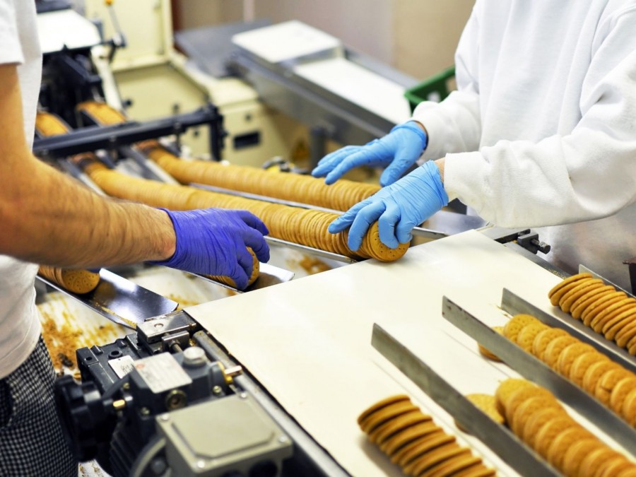 Arbeitende sortieren Kekse auf einem Förderband in einer Fabrik - Online-Redaktion - Canva - industryview