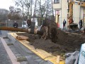 Amberbaum folgt Esche: Erfolgreiche Großbaumpflanzung am Stadthafen - Jetzt ist es fast geschafft... - Quelle/Autor: Volker Wiebels