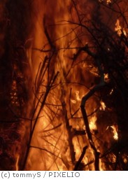 Weiterhin hohe Waldbrandgefahr – Feuerwehr in er-höhter Einsatzbereitschaft