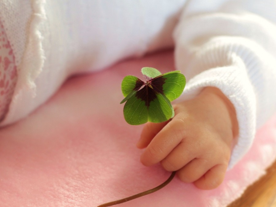 Babyhand hält ein vierblättriges Kleeblatt. Glück für Familien. - Pixabay