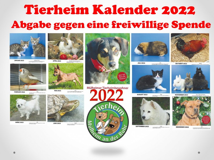 Der Tierheimkalender 2022 wurde wieder neu aufgelegt und liegt druckfrisch im Tierheim aus. - Tierheim