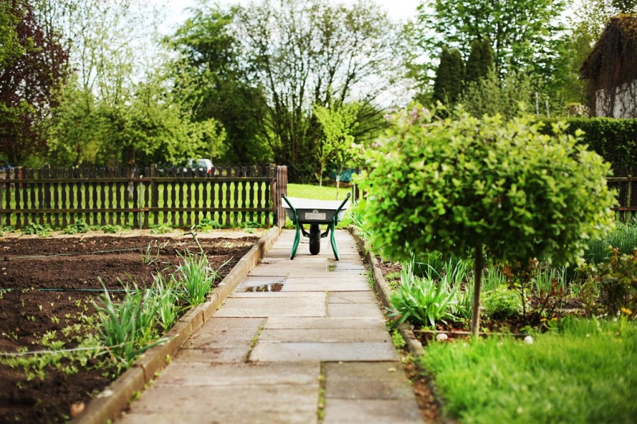 Schubkarre im Kleingarten, Kleingartenanlagen werden als öffentliches Grün angesehen. - Pixabay