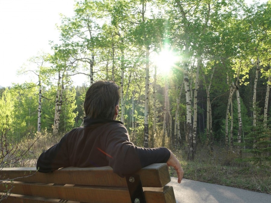 Person sitzt entspannt  auf einer Bank am Waldesrand. Der Wald kann auch dazu dienen, Industriebebauung, Wohnbebauung oder Straßen zu verdecken und so das Landschaftsbild zu verbessern. - Canva