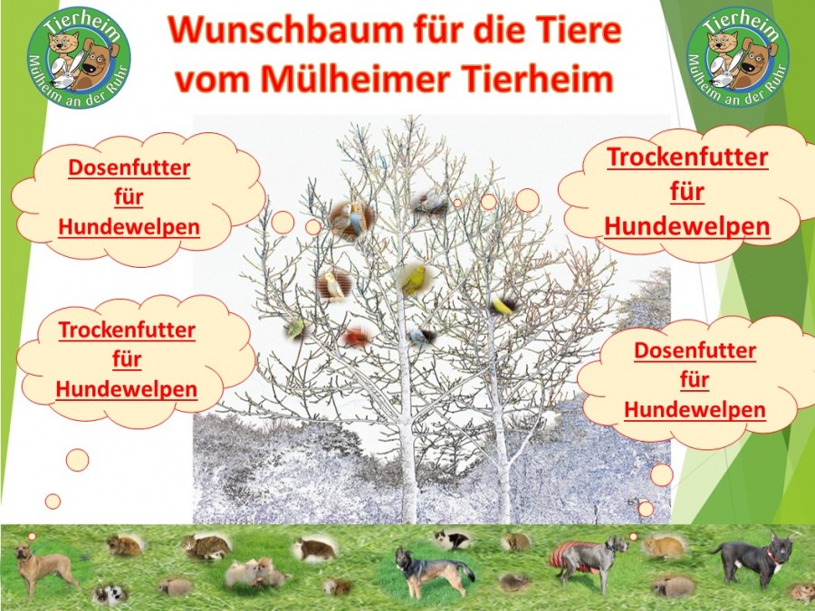 Über unseren Wunschbaum möchten wir Futter- und Sachspenden veröffentlichen, die im Tierheim dringend benötigt werden. - Tierheim