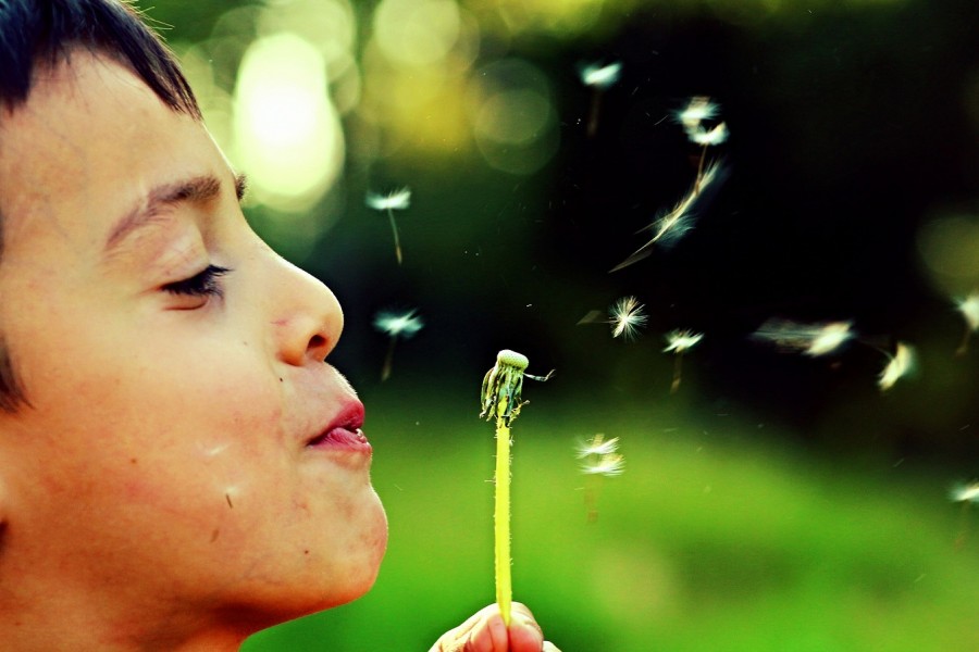 Ein Junge pustet auf eine Pusteblume, Löwenzahn. Gesundheitsförderung umfasst nicht ausschließlich körperliche Gesundheit, sondern ebenso um die geistige, soziale und psychische Gesundheit der Kinder. - Bild von ISMAIL DEMIRBAS auf Pixabay